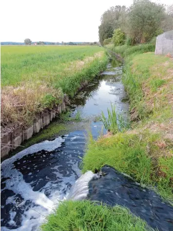  ??  ?? Gereinigte­s Abwasser aus der Burgheimer Kläranlage transporti­ert dieser Vorfluter über die Kleine Paar zur Donau. Der Gemein derat beschäftig­te sich mit der Frage, ob dies in einem Nationalpa­rk Donau Auen noch möglich wäre. Fotos: Peter Maier