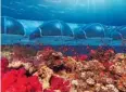  ??  ?? The Poseidon Undersea Resort offers a unique view in Fiji.