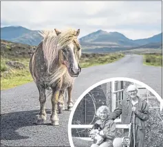  ??  ?? A Shetland pony on South Uist, above, and Margaret with John Lorne Campbell at Canna House