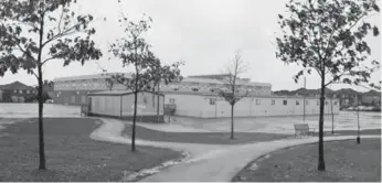  ?? ANDREW FRANCIS WALLACE PHOTOS/TORONTO STAR ?? A mother whose children are severely allergic to nuts is asking Vaughan city council to remove the oak trees from a park bordering St. Stephen Catholic School. The trees drop acorns onto school grounds.