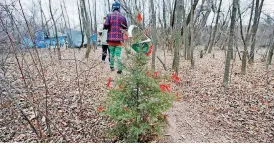  ?? [PHOTO BY NATE BILLINGS, THE OKLAHOMAN] ?? Alyce Furr, front, and Barbara Hill pass a Christmas tree on their way into camp.