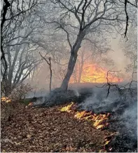  ?? ?? l
CONTAMINAC­IÓN . El humo alcanzó a percibirse en la zona urbana en ambos municipios.