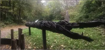  ??  ?? The ‘Witness Tree’ which will be unveiled at the Irish National Heritage Park next week.