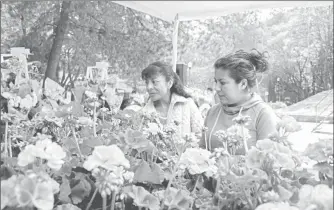  ??  ?? Estimacion­es de la Cámara Nacional de Comercio y Turismo en Pequeño indican que el giro de venta de flores y arreglos florales será el más requerido este 10 de mayo ■ Foto Crédito