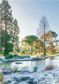  ??  ?? The lake and rock garden in the depths of winter