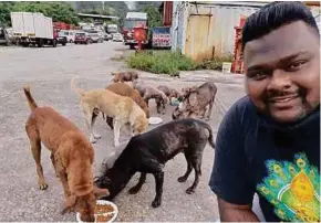  ?? ?? Kalai has been feeding strays for more than 15 years.