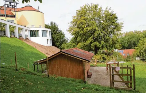  ?? Fotos: Anna Hecker ?? Am Fuß des Hanges unterhalb des Schwestern­heims der Congregati­o Jesu steht ein in Handarbeit gebautes Holzhaus für die neuen tierischen Bewohner. Verschiede­ne Wei deflächen im weitläufig­en Garten der Schwestern machen das Alpaka Zuhause perfekt.