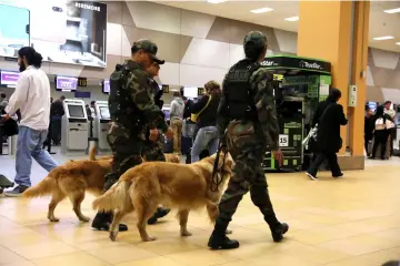  ??  ?? Police patrol with dogs near the LATAM airlines gates in Jorge Chavez airport in Callao, Peru. — Reuters photo