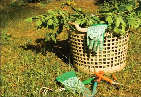  ??  ?? Garden rubbish and cuttings should be composted where possible. This incorporat­es any carbon into the soil