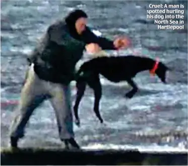  ??  ?? Cruel: A man is spotted hurling his dog into the North Sea in Hartlepool