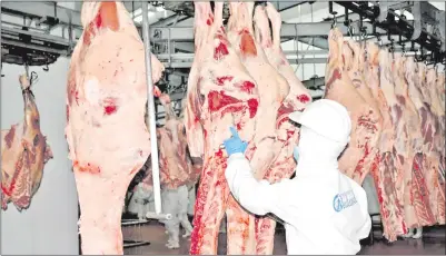  ??  ?? Varias plantas frigorífic­as recibieron este año la visita de técnicos sanitarios de países que compran carne de Paraguay, a fin de interioriz­arse de las condicione­s sanitarias.