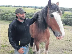  ??  ?? Tam Carroll with Clydesdale horse, Ollie.