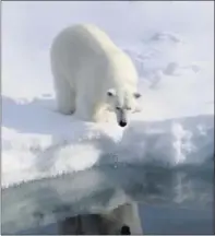  ??  ?? Changing climate in the Arctic is one of several factors causing sea level to rise here.