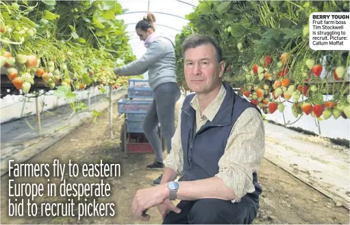  ??  ?? BERRY TOUGH Fruit farm boss Tim Stockwell is struggling to recruit. Picture: Callum Moffat