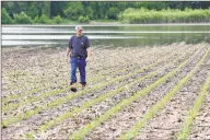  ?? Associated Press ?? Jeff Jorgenson looks over a partially flooded field he farms near Shenandoah, Iowa, on Wednesday.