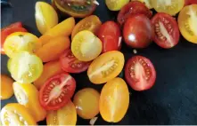  ??  ?? PIGGAR UPP. Tomater i olika färger gör både öga och mun glada.