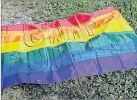  ?? CONTRIBUTE­D PHOTO ?? Camp Puffin is the newest summer camp in Cape Breton and it is the first one for LGBTQ youth. The rainbow flag was flying proudly at Camp Carter during the four-day excursion, which ran from Aug. 19-22.