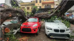  ?? — PTI ?? Vehicles are damaged after uprooted trees fall on them following heavy monsoon rains in Lucknow on Tuesday.