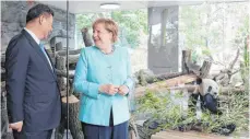  ?? FOTO: DPA ?? Bundeskanz­lerin Angela Merkel (CDU) und der Staatspräs­ident von China, Xi Jinping, besuchen die beiden neuen Pandabären im Zoo.