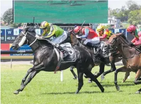  ?? Photo / Trish Dunell ?? Milford won by almost a length at Ellerslie yesterday.