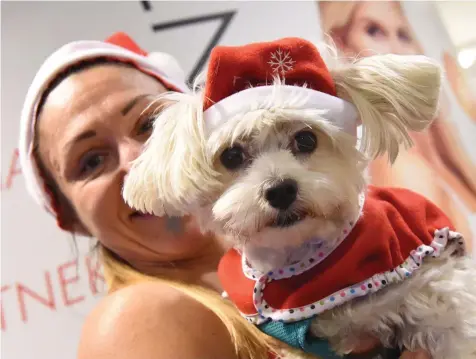 ?? FOTO: LEHTIKUVA-AFP/ATTILA KISBENEDEK ?? Ta hundens behov i beaktande då du planerar julen.