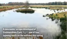  ??  ?? A new wader scrape developed at Godmersham Park. one of four lapwing nests on the wetland this spring