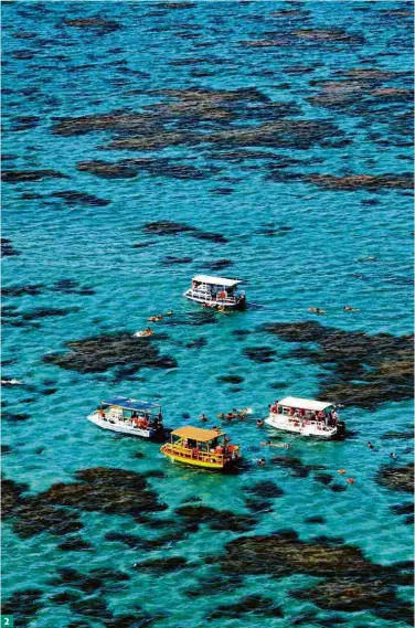  ?? Fotos Divulgação ?? 1 Praia do Marco, em São Miguel do Gostoso Carolina Muniz/ Folhapress­2 Parrachos de Maracajaú, em Maxarangua­pe3 Árvore do Amor, no cabo de São Roque4 Réplica do marco fincado pelos navegadore­s portuguese­s em 1501