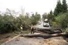  ?? Photograph: Xinhua/Rex/Shuttersto­ck ?? People clear a road blocked by fallen trees after a heavy winter storm in San Mateo county of San Francisco Bay Area, on Monday.