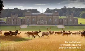  ??  ?? Keep a look out for majestic roaming deer at Holkham Hall