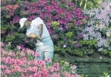  ?? FOTO: DPA ?? Die richtige Umgebung, um Großes zu vollbringe­n: Tiger Woods trainiert für das US Masters in Augusta.