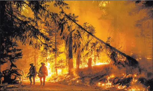  ?? Noah Berger The Associated Press ?? Firefighte­rs light a backfire Friday to stop the Dixie Fire from spreading near Prattville in Plumas County, Calif.