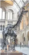  ??  ?? ●●Dippy the Diplodocus has set off on a tour of the UK which will eventually lead to Rochdale