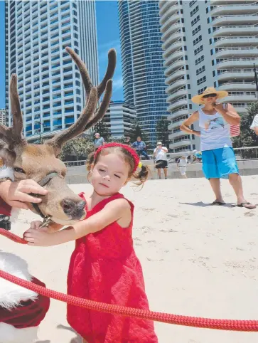  ?? Picture: MIKE BATTERHAM ?? beach at Surfers Paradise.