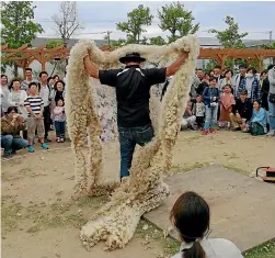  ??  ?? Some people at the shows would not have seen a wool fleece before, let alone watched a sheep being shorn.