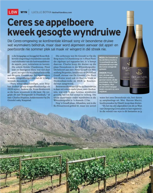  ??  ?? REGS: De Grendel se Op die Berg-wyne is ’n voorbeeld van die uitstekend­e wyn wat die Ceres-wingerde oplewer.
ONDER: Pinot noir-druiwe van die Ceres-plato is gereservee­rd, sê die wynmaker mnr. Charles Hopkins. Wyn uit die 2013-oesjaar begin nou eers sy...