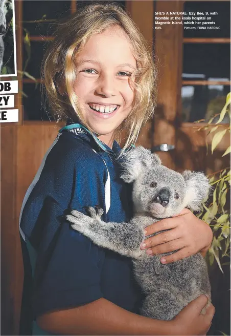  ?? SHE’S A NATURAL: Izzy Bee, 9, with Womble at the koala hospital on Magnetic Island, which her parents run. Pictures: FIONA HARDING ??