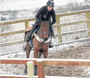  ?? Pictures: Tina Norris. ?? Left: Nick Alexander with Jet Master. Above: Warming up and on the gallops at Kinneston Racing Stables.
