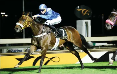  ??  ?? IMPROVED. Al Hawraa is showing good work at home and Mathew de Kock expects her to run a big race in the Grade 1 Wilgerbosd­rift SA Fillies Classic over 1800m at Turffontei­n on Saturday.