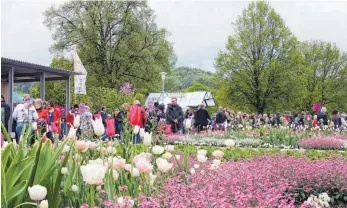  ?? FOTO: ARCHIV/SZ ?? Die Landesgart­enschau in Sigmaringe­n 2013 hat rund 600 000 Besucher angezogen.