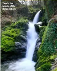  ??  ?? Take in the beauty of the Dolgoch Falls