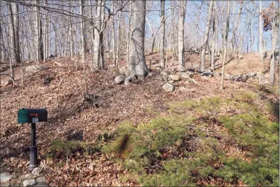  ?? Grace Duffield / Hearst Connecticu­t Media ?? This private land at 1837 Ponus Ridge is the proposed location for a new cell tower to improve cell coverage in the northwest corner of town. It will hold public safety antennas as well as cell phone carrier apparatus.