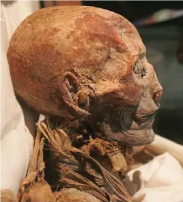  ??  ?? MÁS DE UN SIGLO SIN SER IDENTIFICA­DA. La momia de la reina Hatshepsut fue presentada al público en junio de 2007, después de un largo período de incertidum­bre acerca de su correcta identifica­ción.