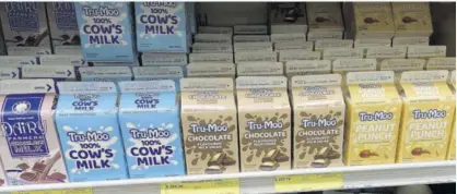  ?? ?? Tru-moo flavoured milks are produced in 450ml and 945ml cartons. The current flavours are chocolate, peanut punch, eggnog and 100% cow’s milk.