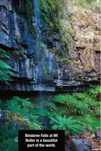  ??  ?? Bindaree Falls at Mt Buller is a beautiful part of the world.