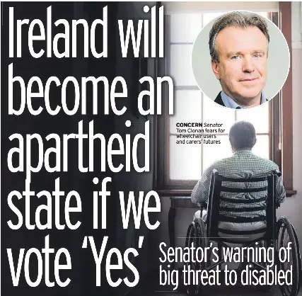 Ireland will become an apartheid state if we vote ‘Yes’ - PressReader