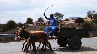  ?? ?? A man rides on a donkey-drawn scotchcart at Birchenoug­h Bridge in Manicaland on Wednesday. Most people in rural areas use scotchcart­s as mode of transport.