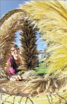  ?? BILD: DPA ?? Erntekrone­n wie diese stehen symbolhaft für Erntedankf­este, wie sie derzeit in der Region gefeiert werden.