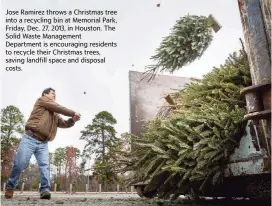  ?? MICHAEL PAULSEN AP file ?? Jose Ramirez throws a Christmas tree into a recycling bin at Memorial Park, Friday, Dec. 27, 2013, in Houston. The Solid Waste Management Department is encouragin­g residents to recycle their Christmas trees, saving landfill space and disposal costs.