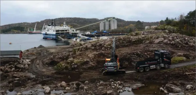  ?? FOTO: MONA WIKØREN ?? Også salget av Marin Elektro-tomta bør settes på vent, ifølge nabo Trine Fladstad. Også prissettin­gen bør revurderes, mener hun.