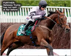  ?? ?? FU RTHER: Getaway Trump has run well at Ayr before